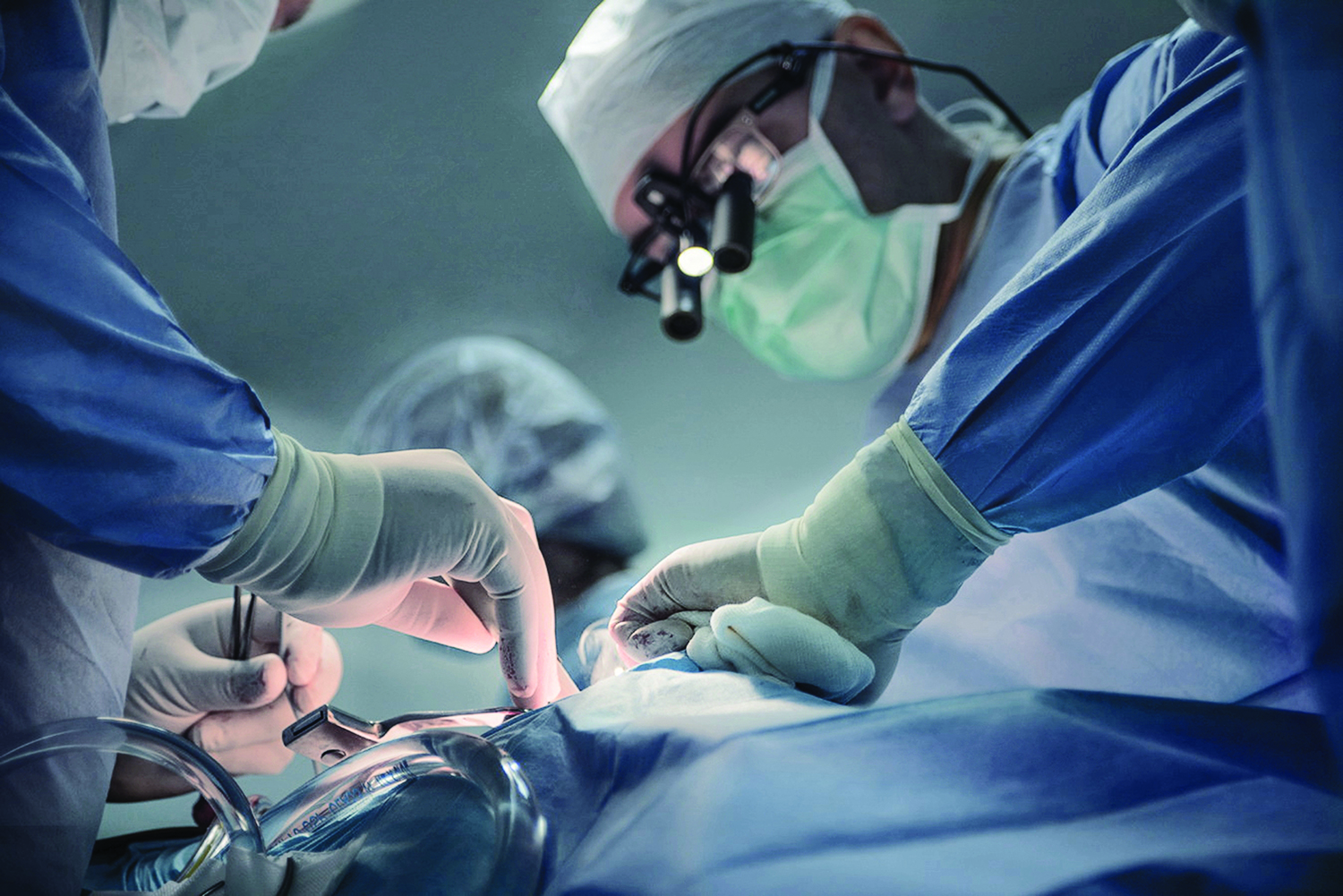 Dental Navigation - Implant Planning System